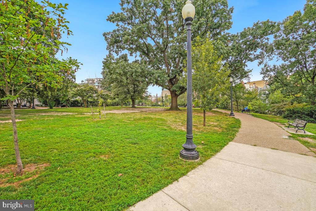 Leafy urban park with a broad lawn, mature trees, curved path, benches, and black lampposts.