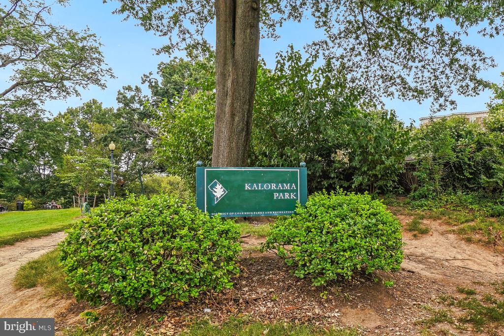 Kalorama Park sign among shrubs beneath a large tree.