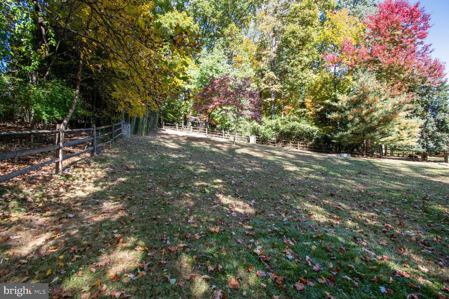 11504 STONEWOOD LANE