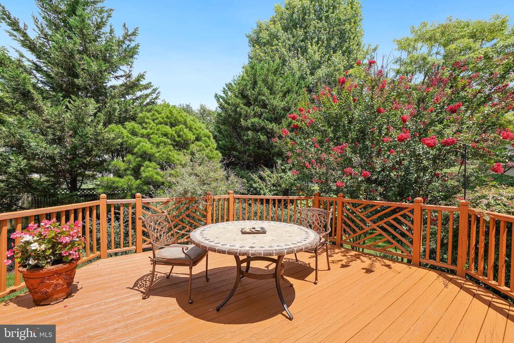 7009 CASHELL MANOR COURT