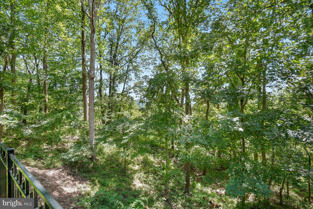 6700 BONAVENTURE COURT