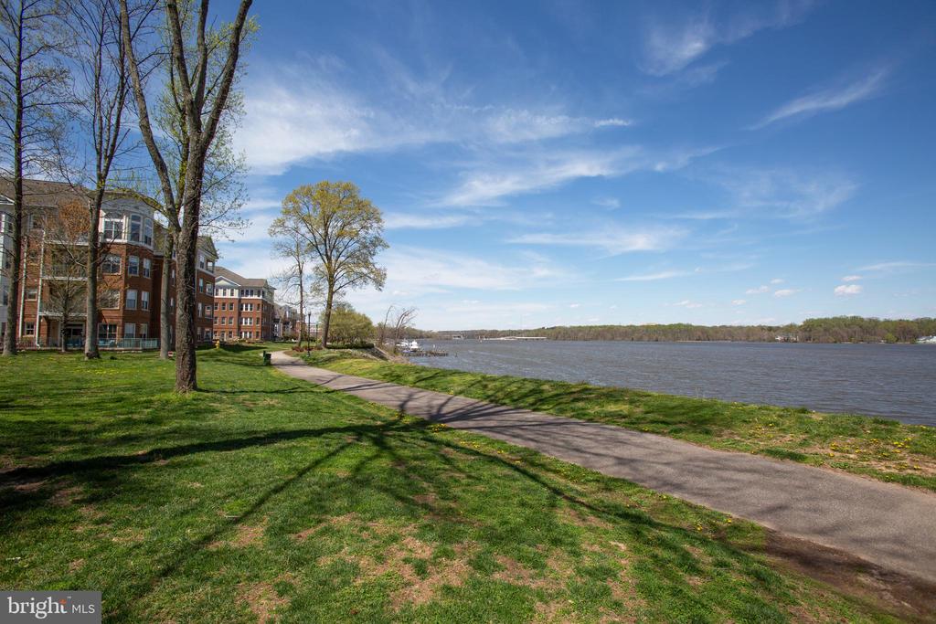 485 HARBOR SIDE STREET 806