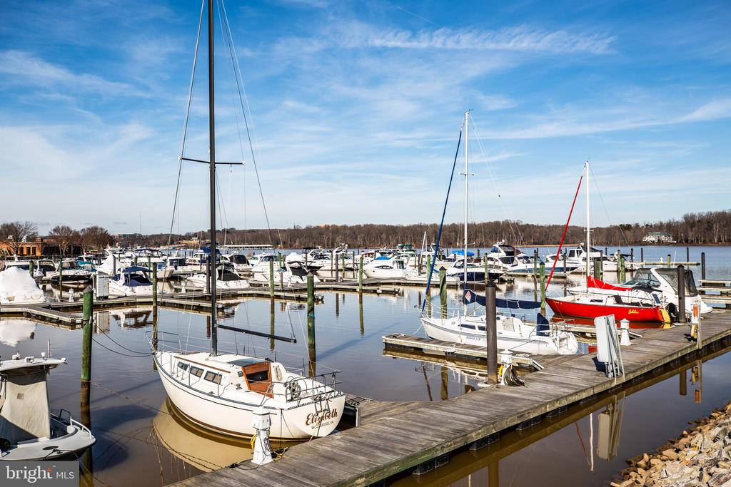 485 HARBOR SIDE STREET 806