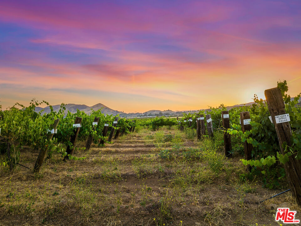 Vineyard rows stretch toward distant hills beneath a colorful sunset sky.