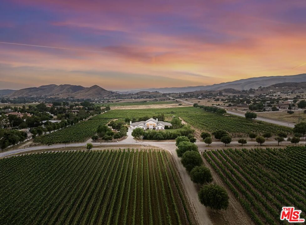 Vineyard estate with a central home and rows of vines beneath a colorful dusk sky.