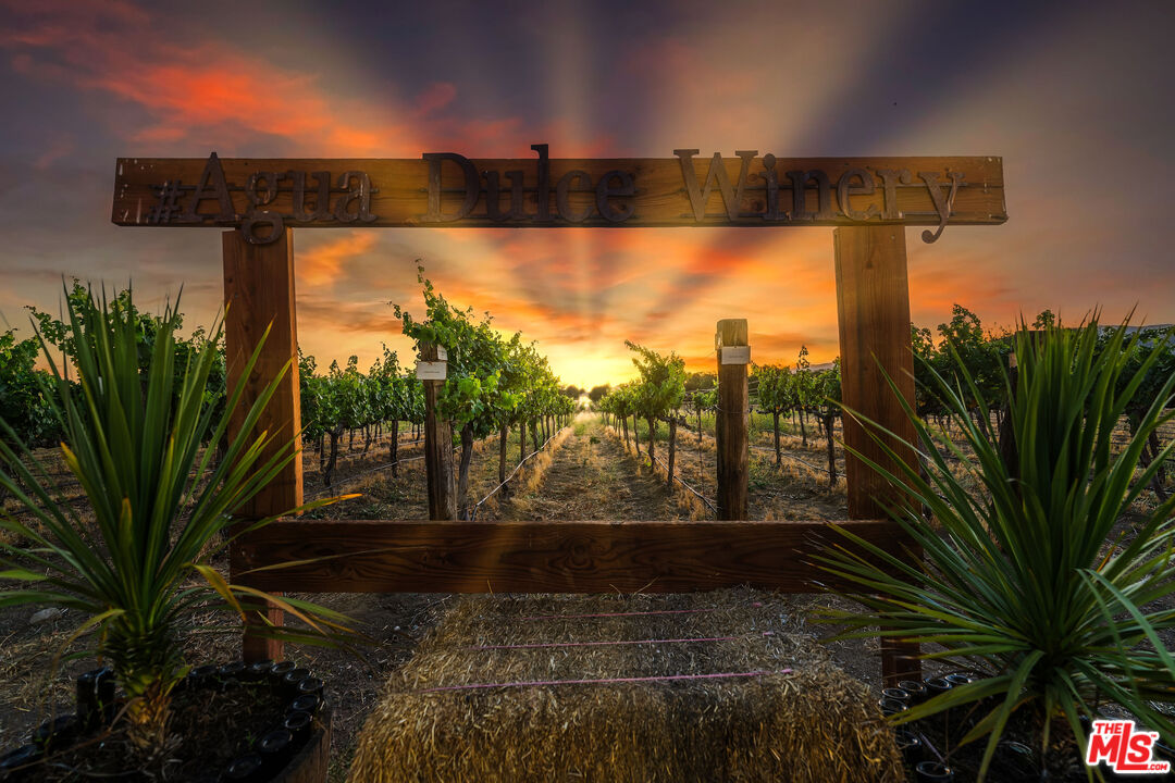 Vineyard entrance beneath an Agua Dulce Winery sign, with grapevines leading toward a sunset.
