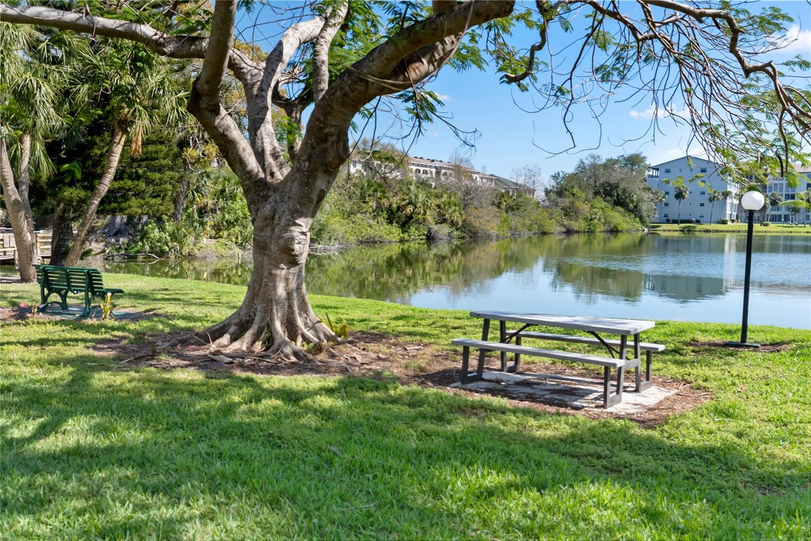 3653 LAKE BAYSHORE DR #503