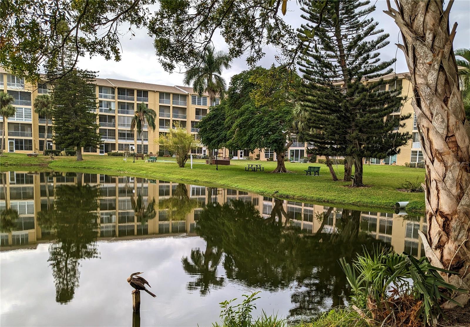 3772 LAKE BAYSHORE DR #K-517