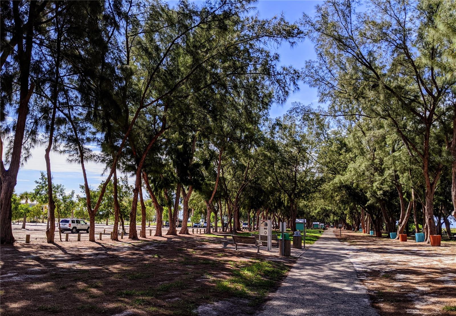 3772 LAKE BAYSHORE DR #K-517