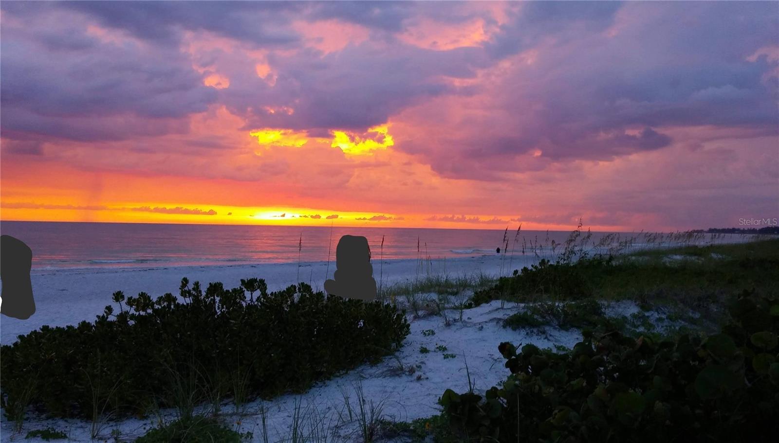 3772 LAKE BAYSHORE DR #K-517