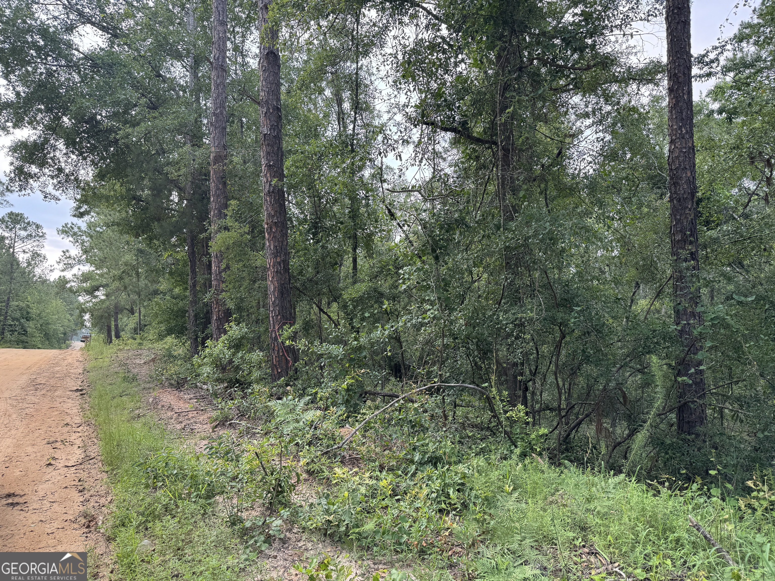 6.80 AC Scarlet Road