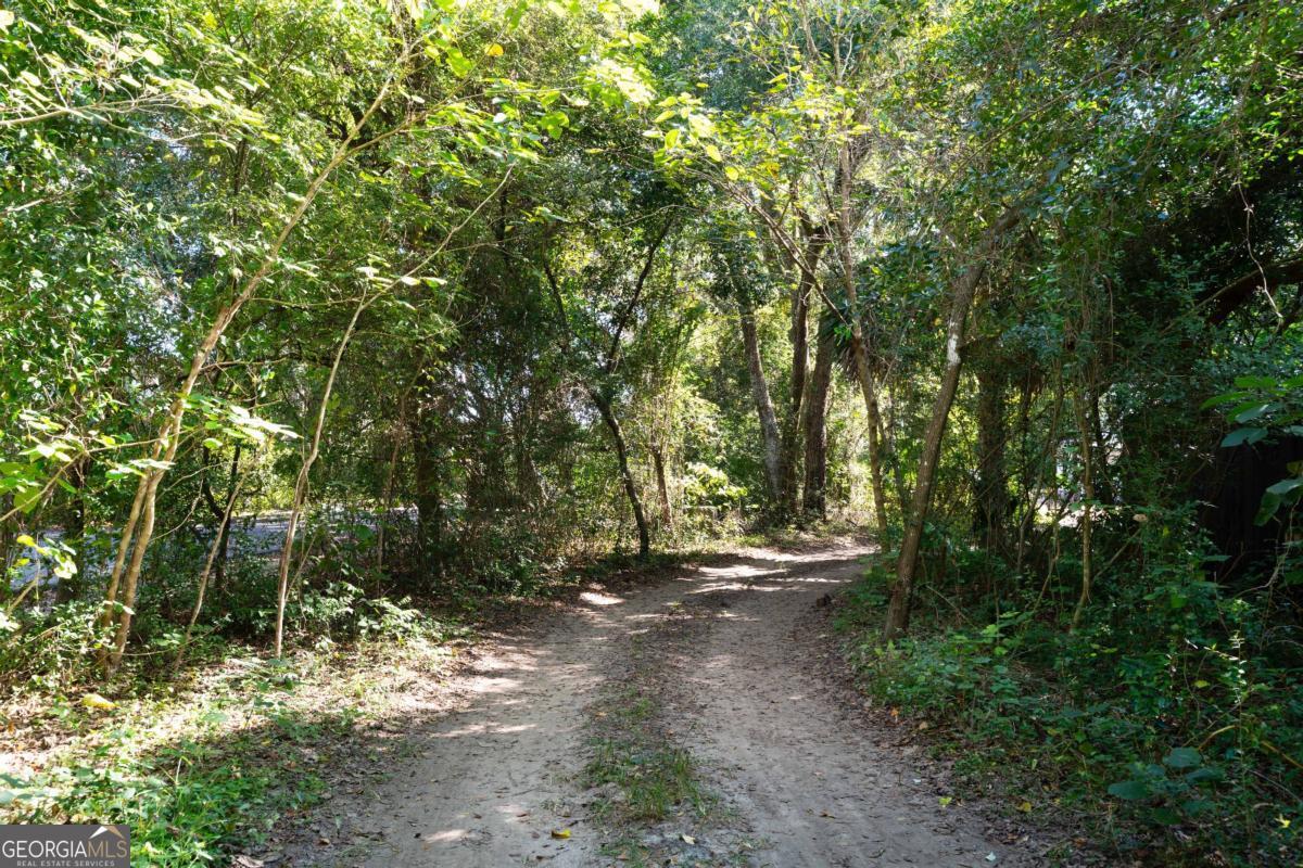 108 Rosa Dorsey Lane, St. Simons