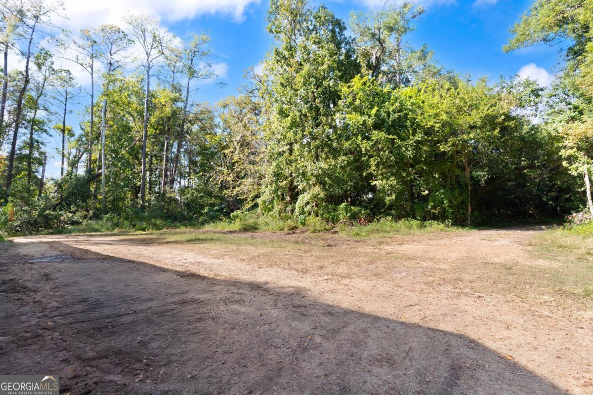 108 Rosa Dorsey Lane, St. Simons