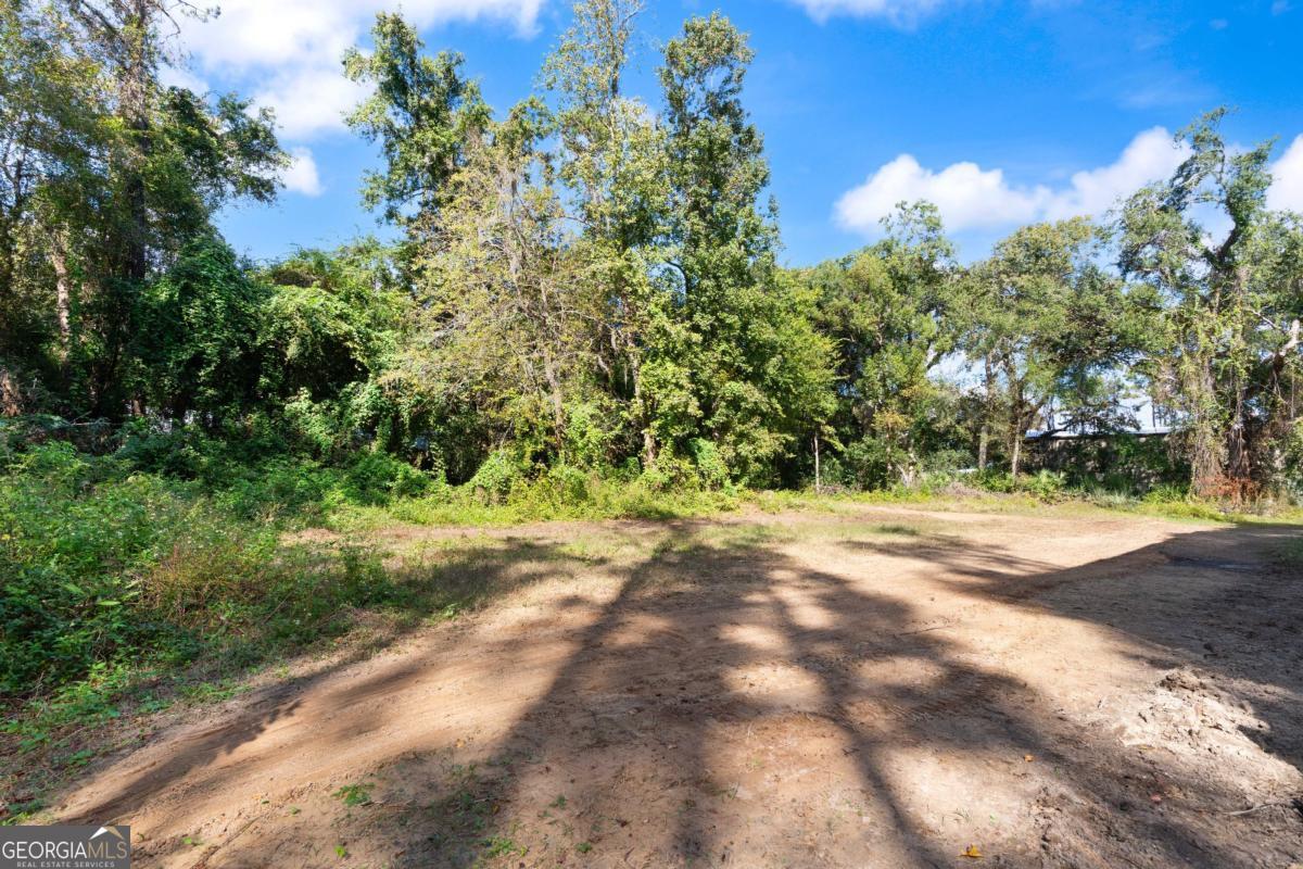 108 Rosa Dorsey Lane, St. Simons