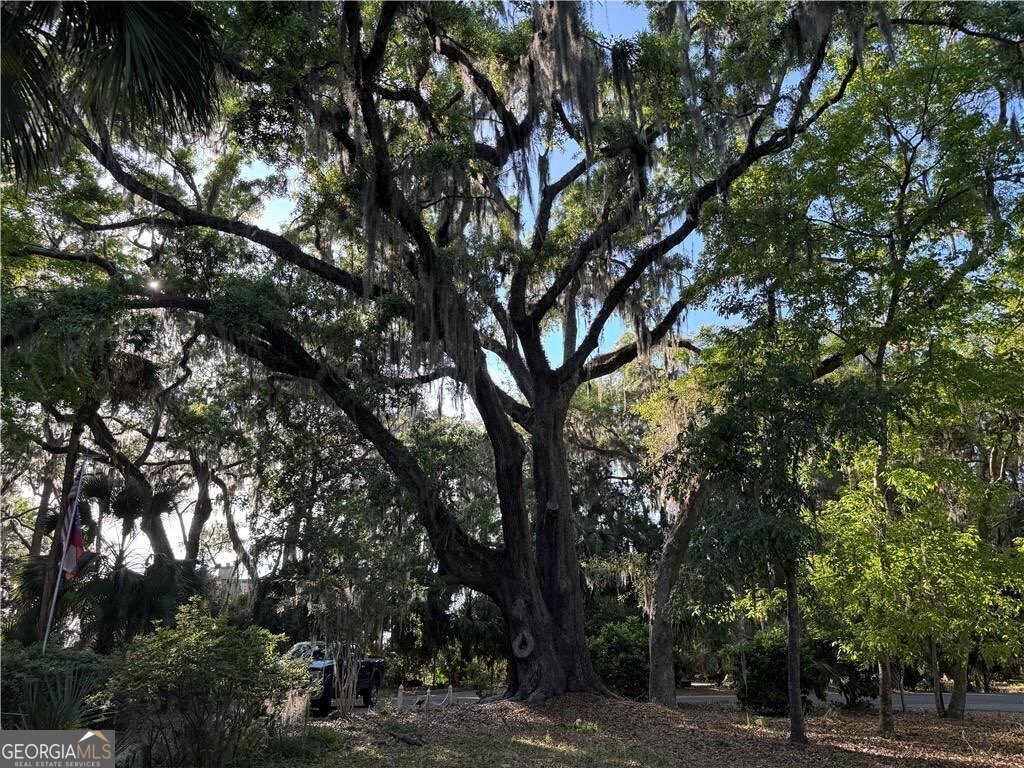 225 West Point Drive, St. Simons