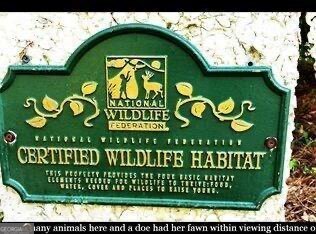 225 West Point Drive, St. Simons