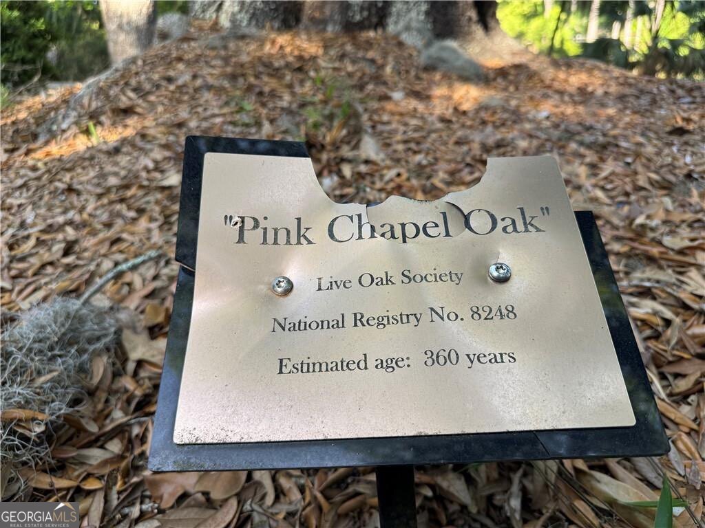 225 West Point Drive, St. Simons