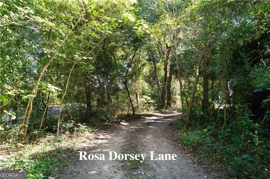 108 Rosa Dorsey Lane, St. Simons