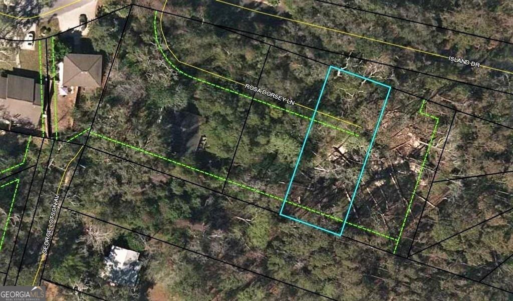 108 Rosa Dorsey Lane, St. Simons