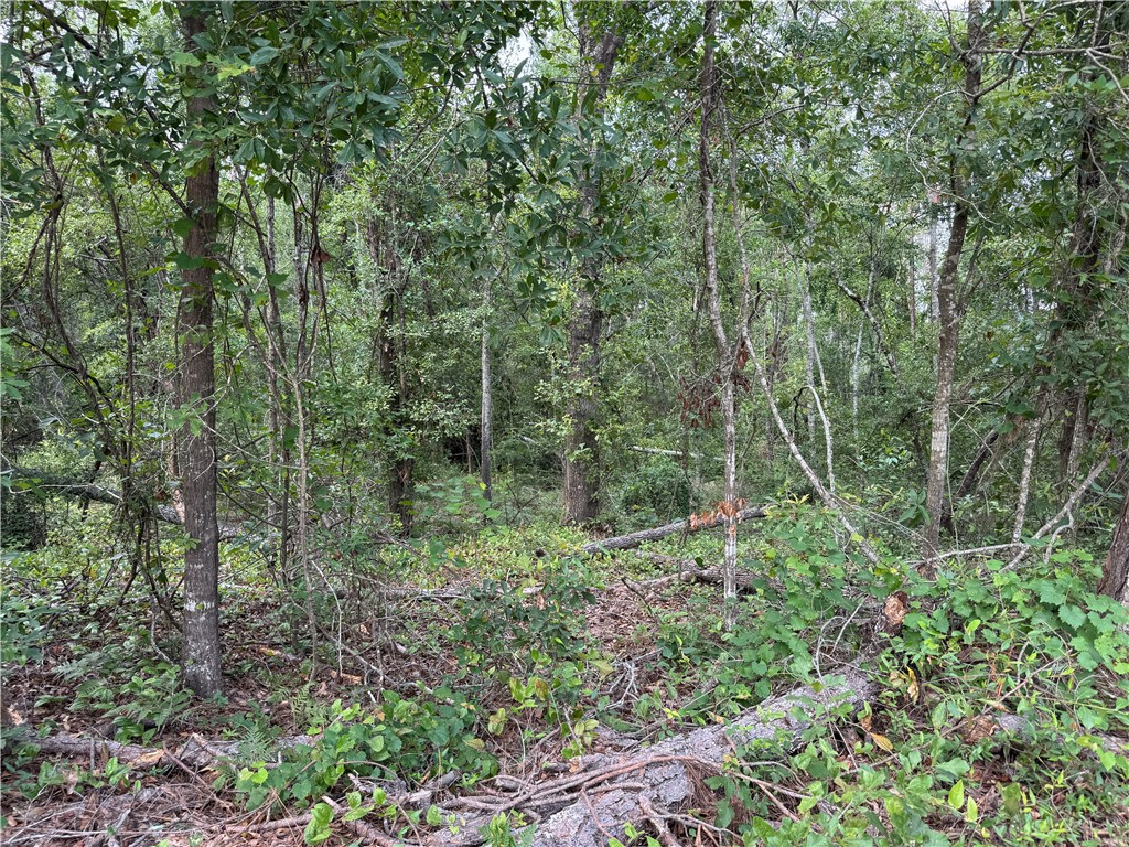 6.80 AC Scarlet Road