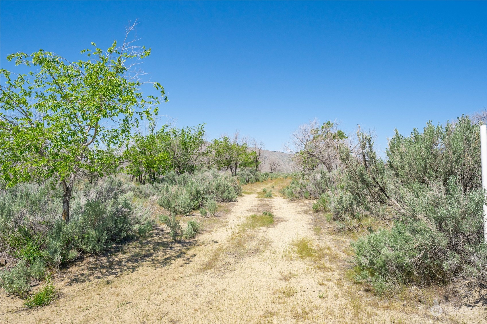 0 NHN Haystack Drive