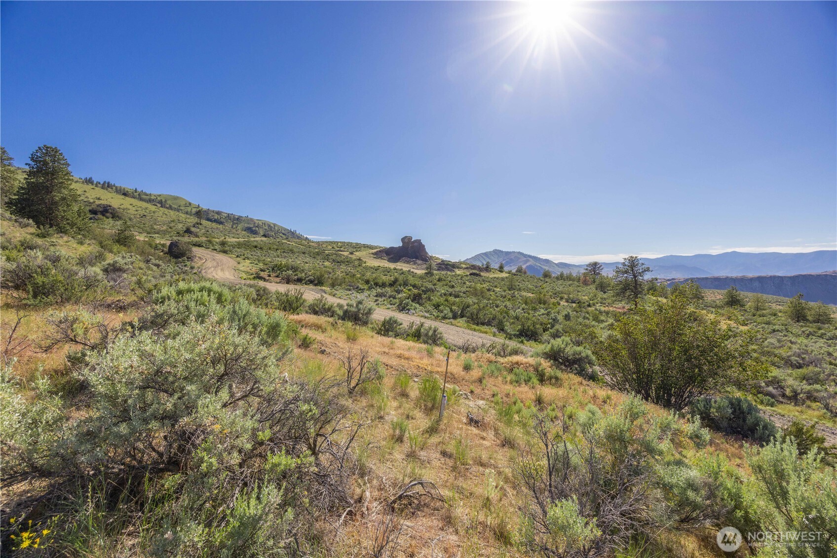 0 NHN McNeil Canyon Road