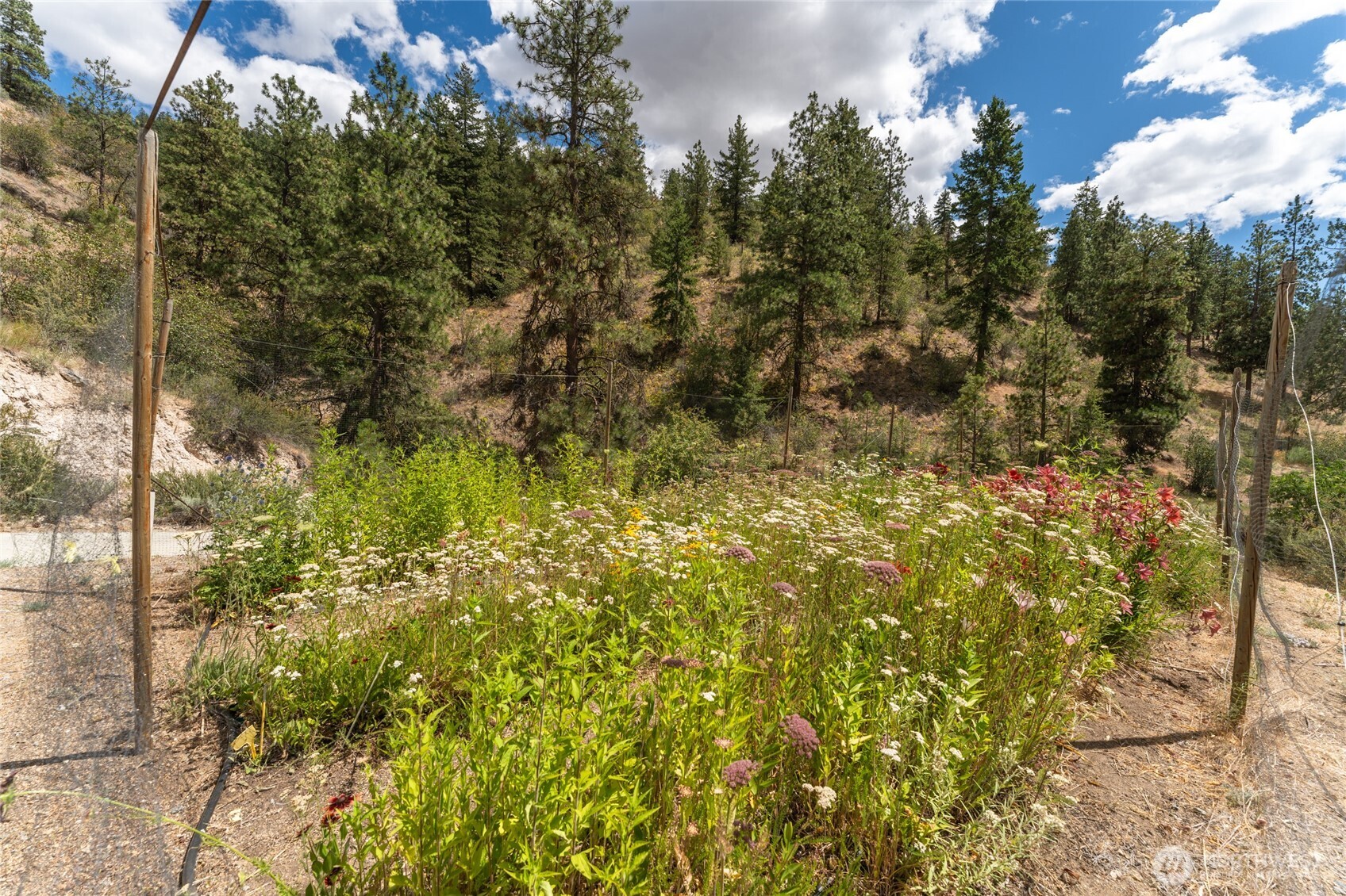 1020 Cagle Gulch Road