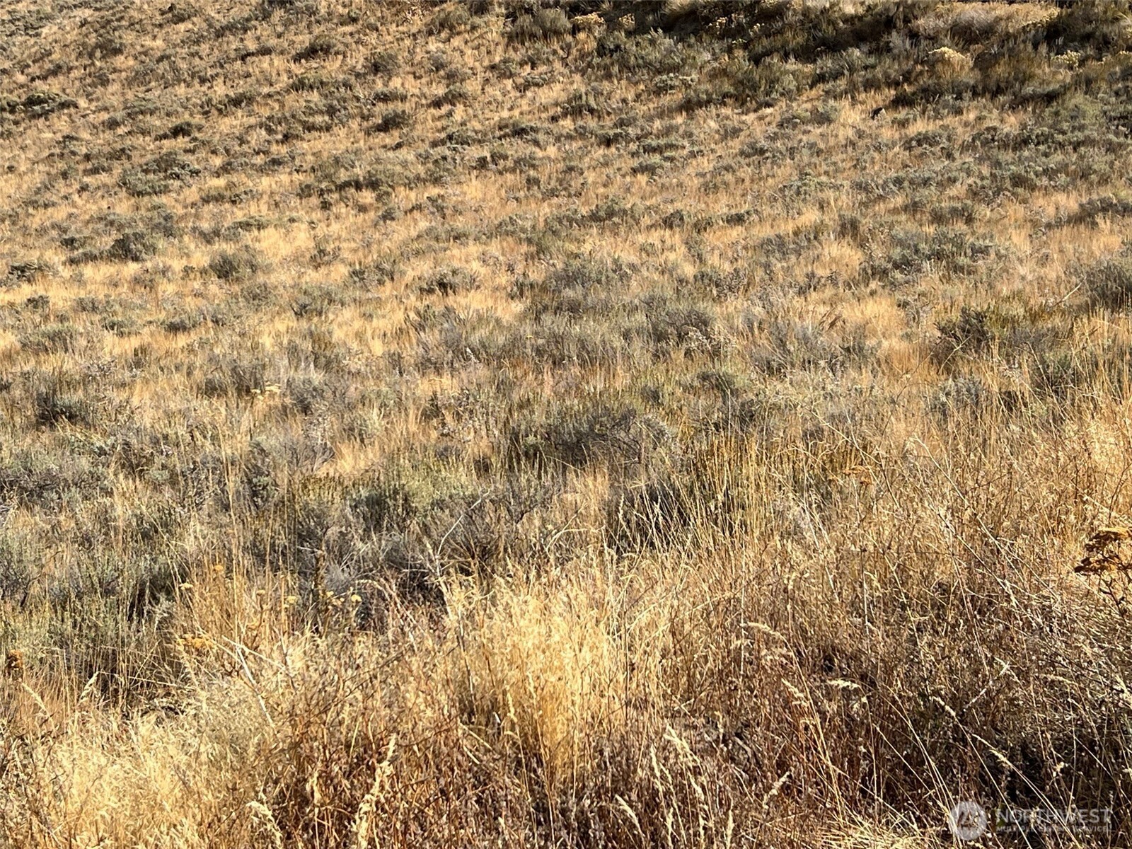 0 NNA Mountain Spring Road