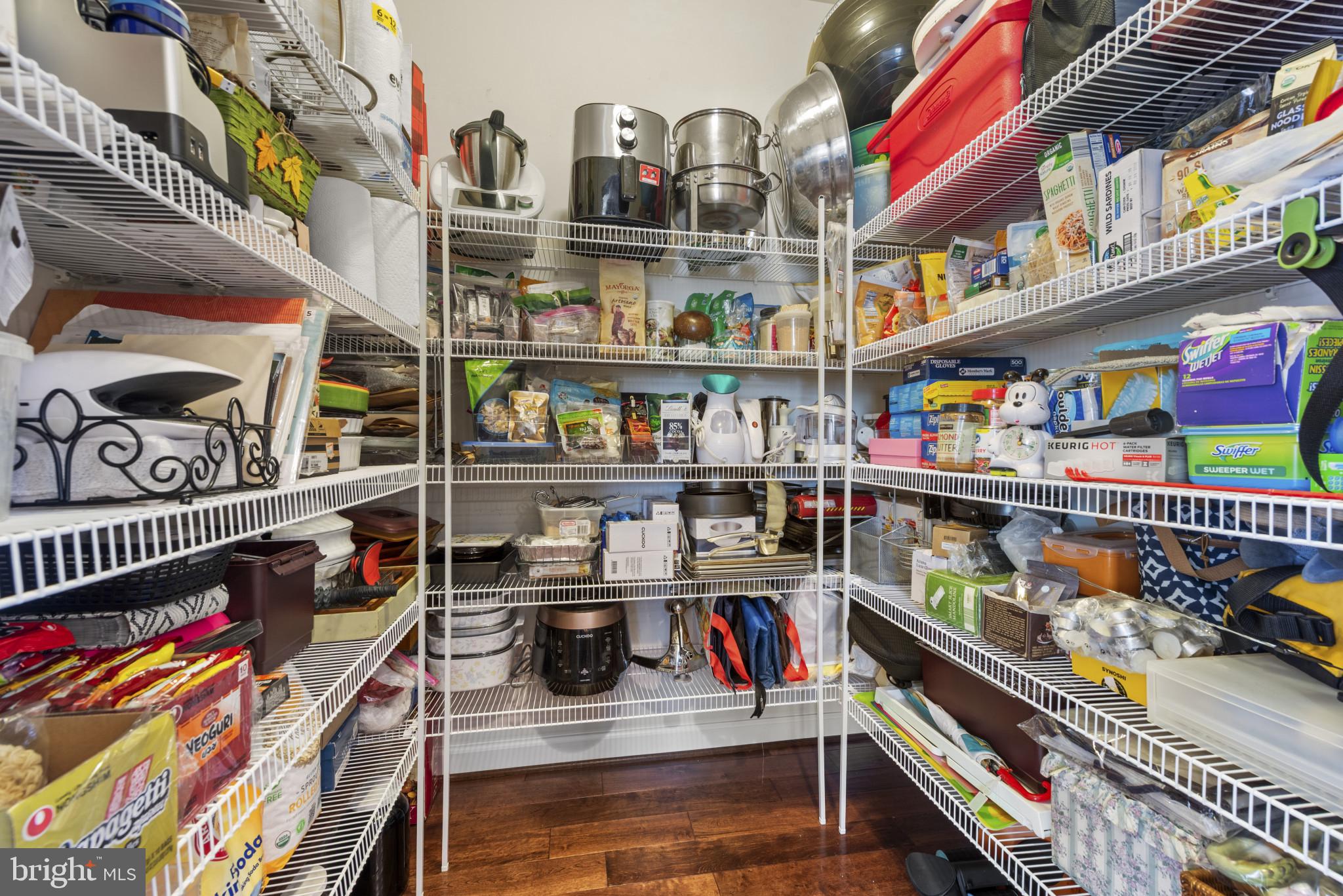 8700 SPRINGVALE DRIVE