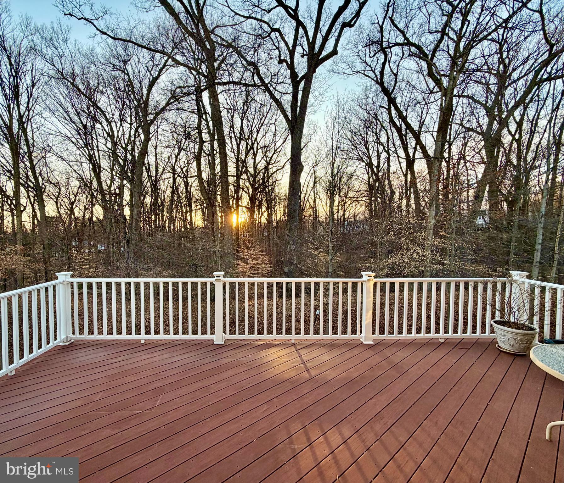 8700 SPRINGVALE DRIVE