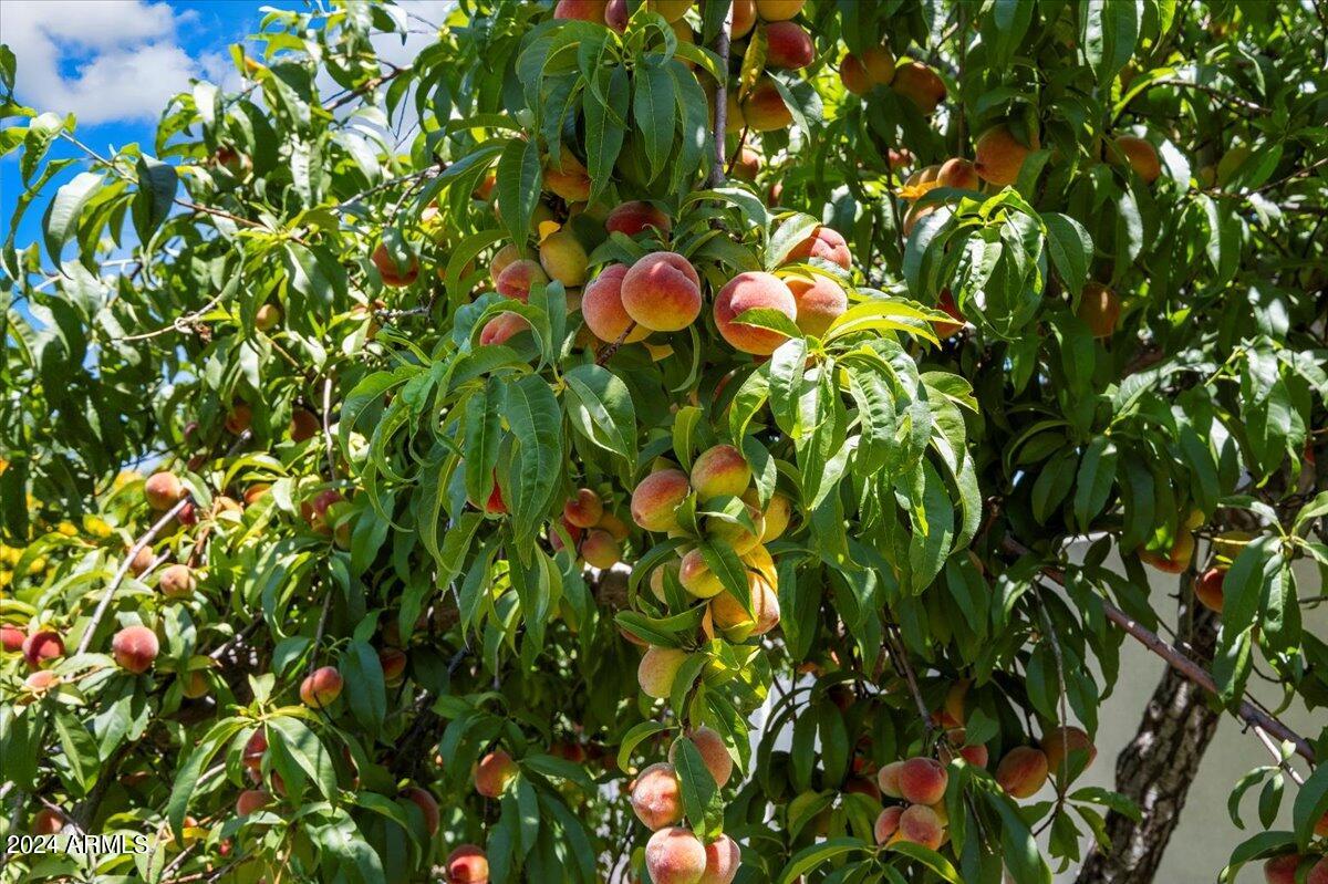 3216 E COLTER Street