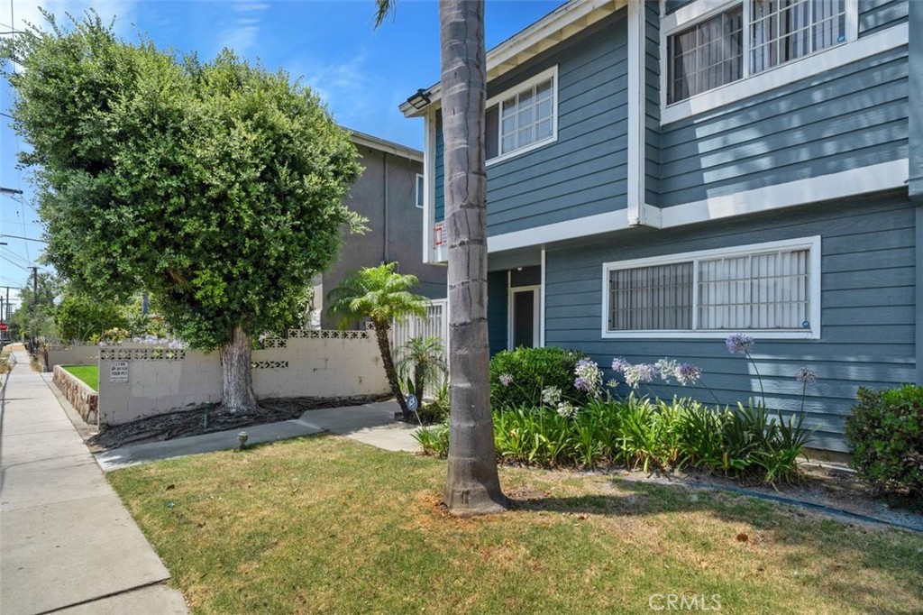 14533 Larch