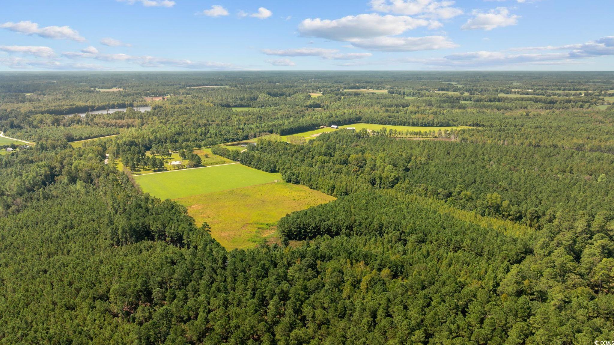LOT 4 Womack Rd.