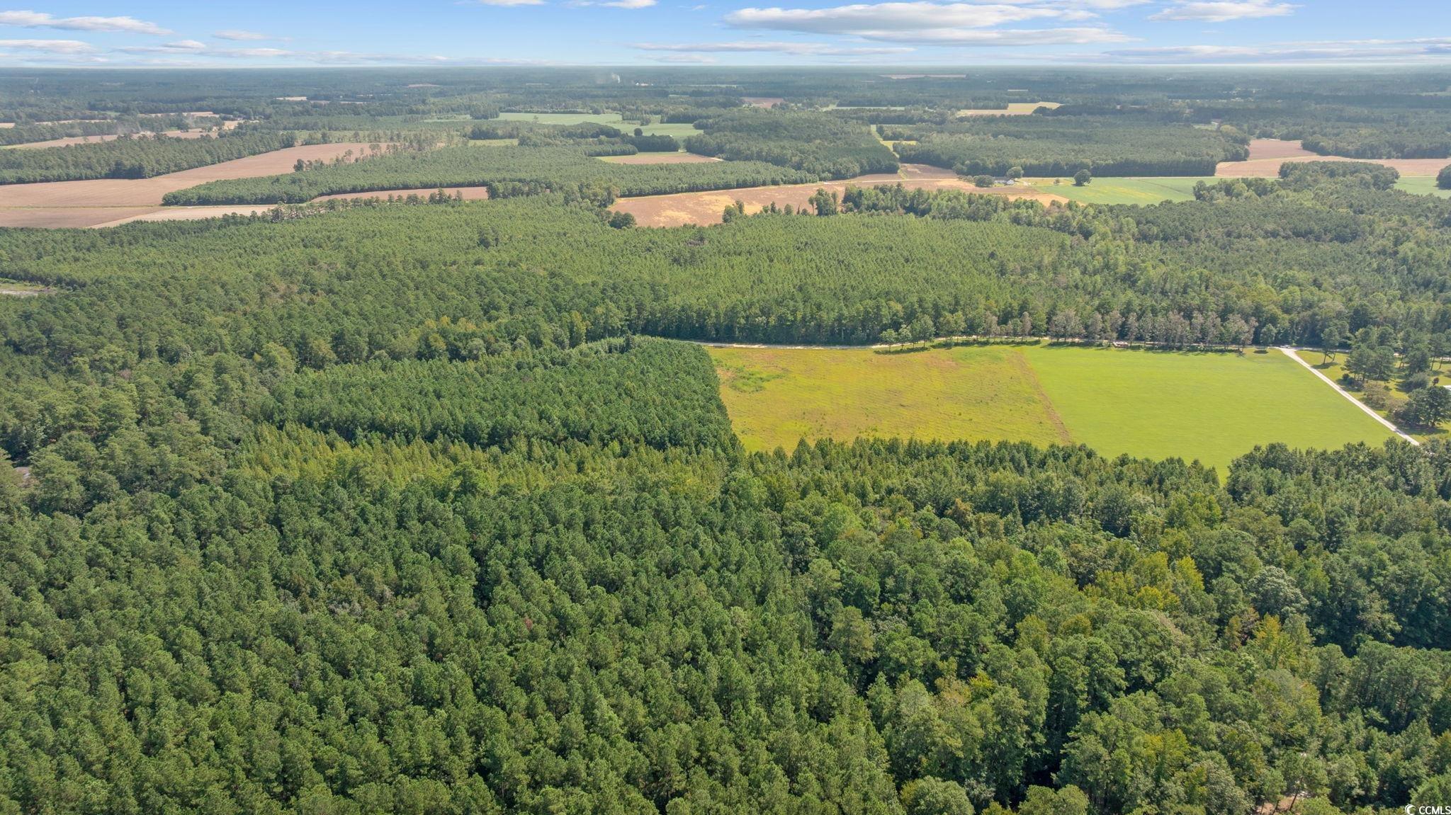 LOT 4 Womack Rd.