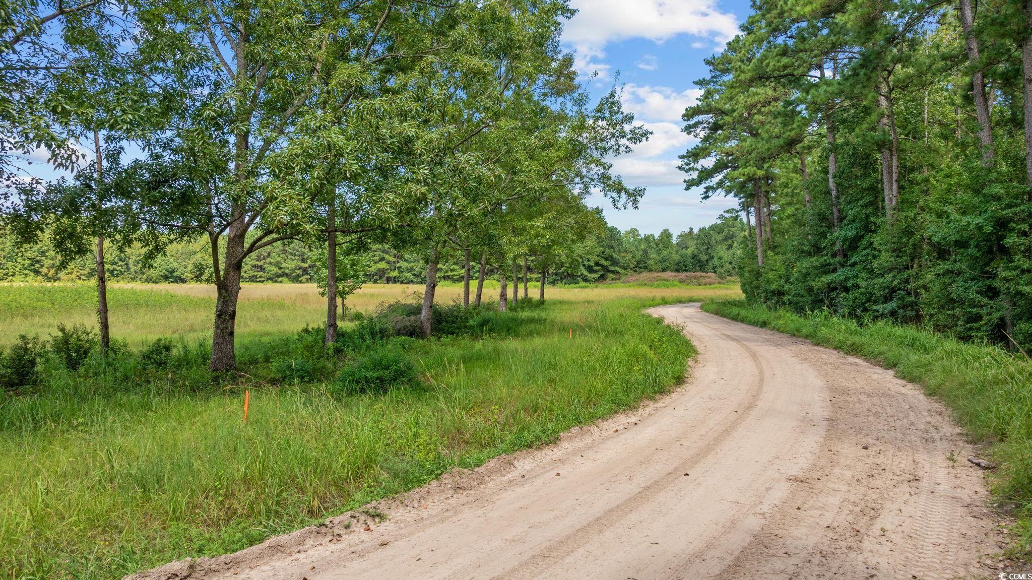 LOT 4 Womack Rd.