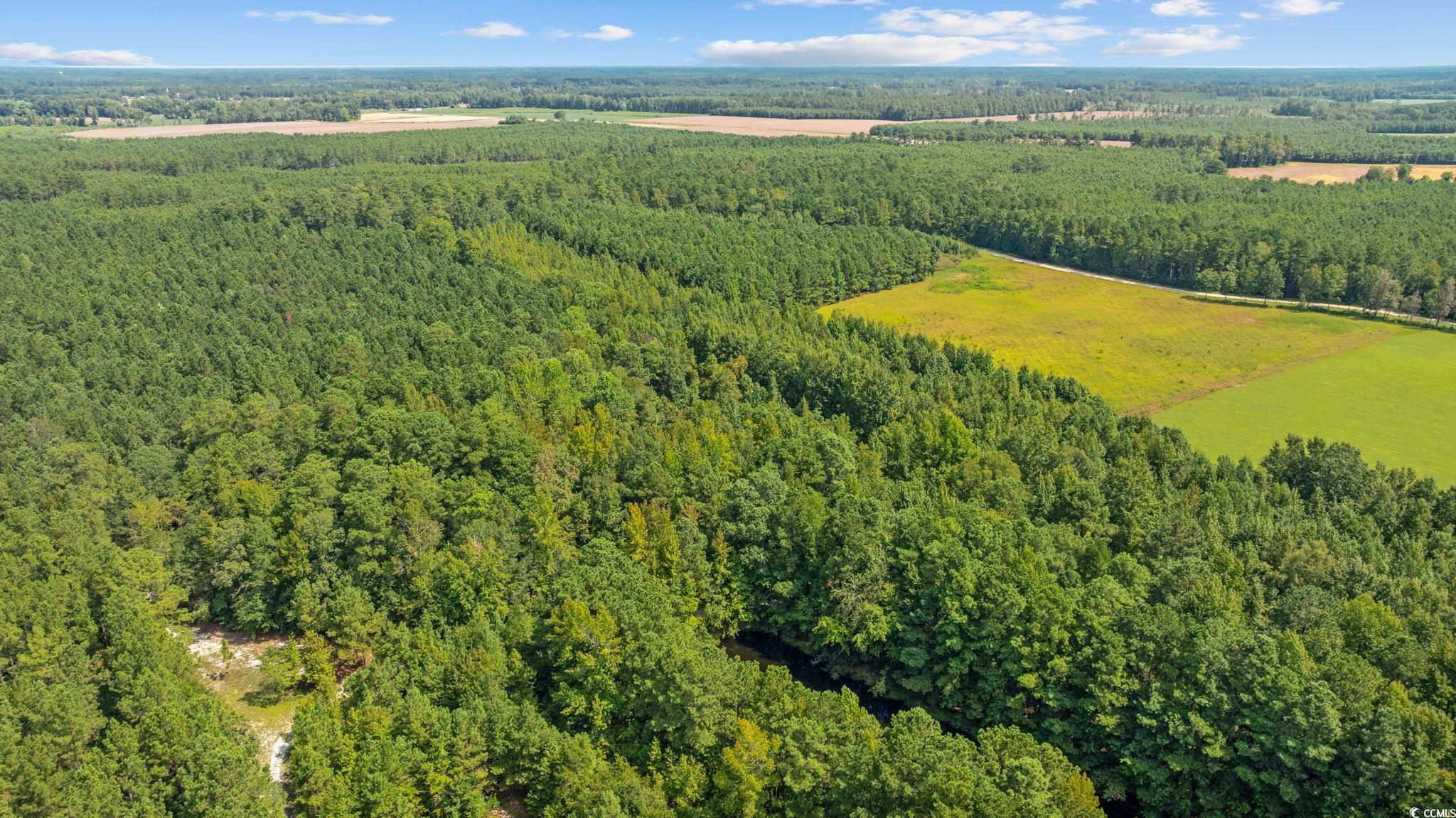 LOT 4 Womack Rd.