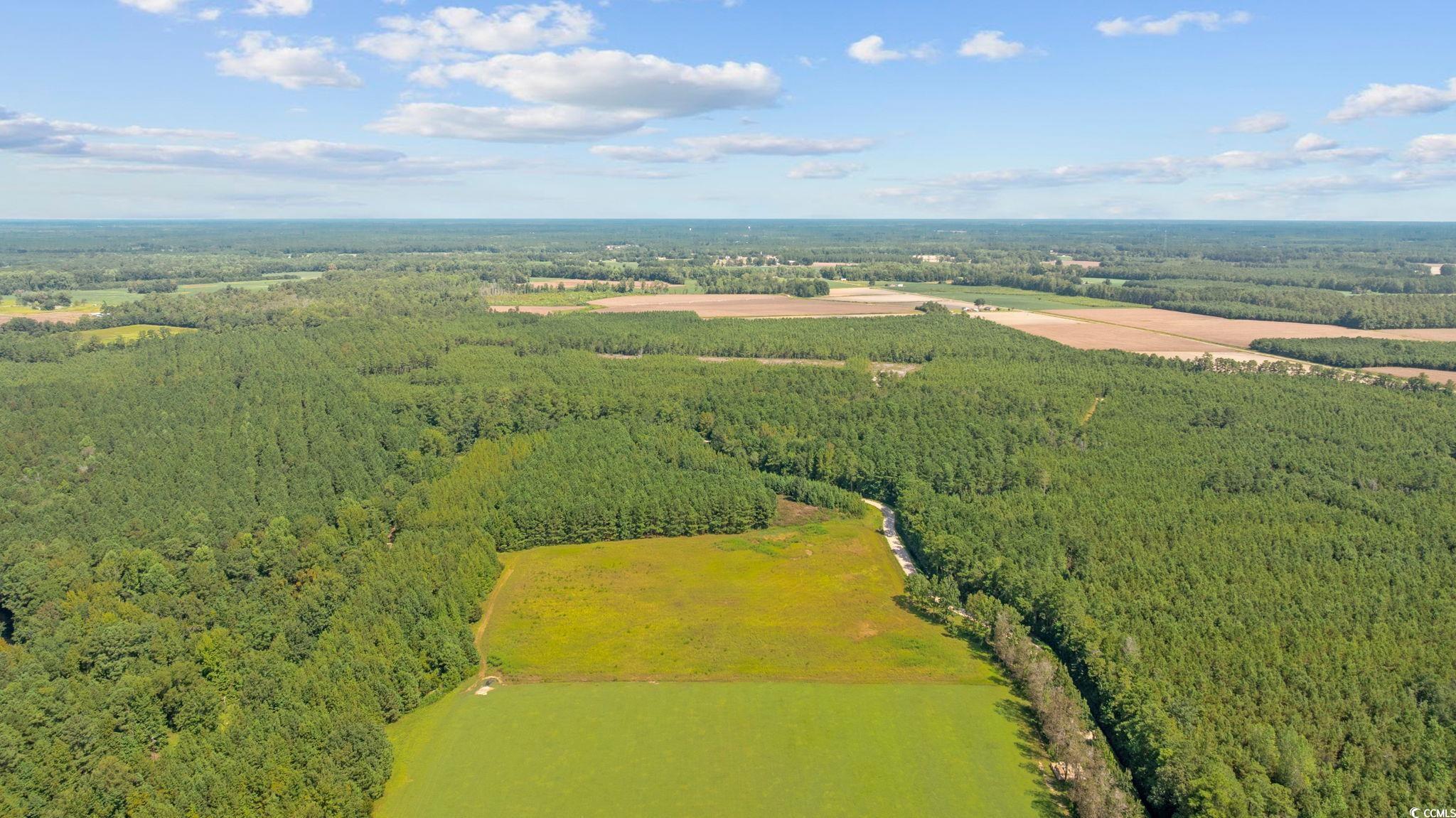 LOT 4 Womack Rd.