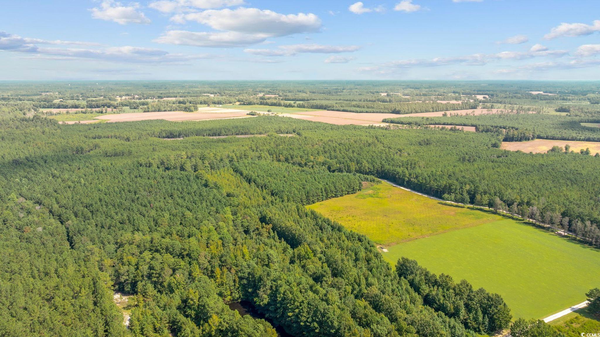 LOT 4 Womack Rd.