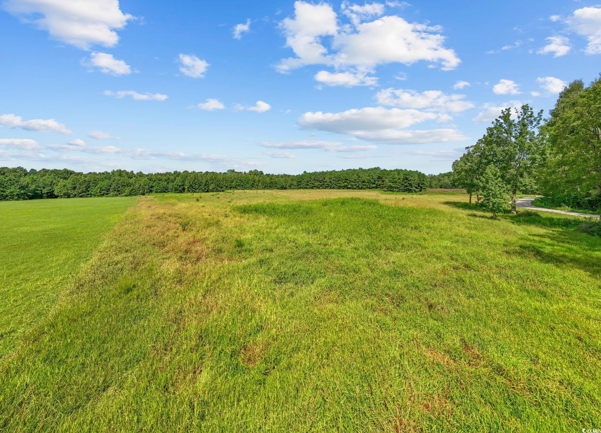 LOT 4 Womack Rd.