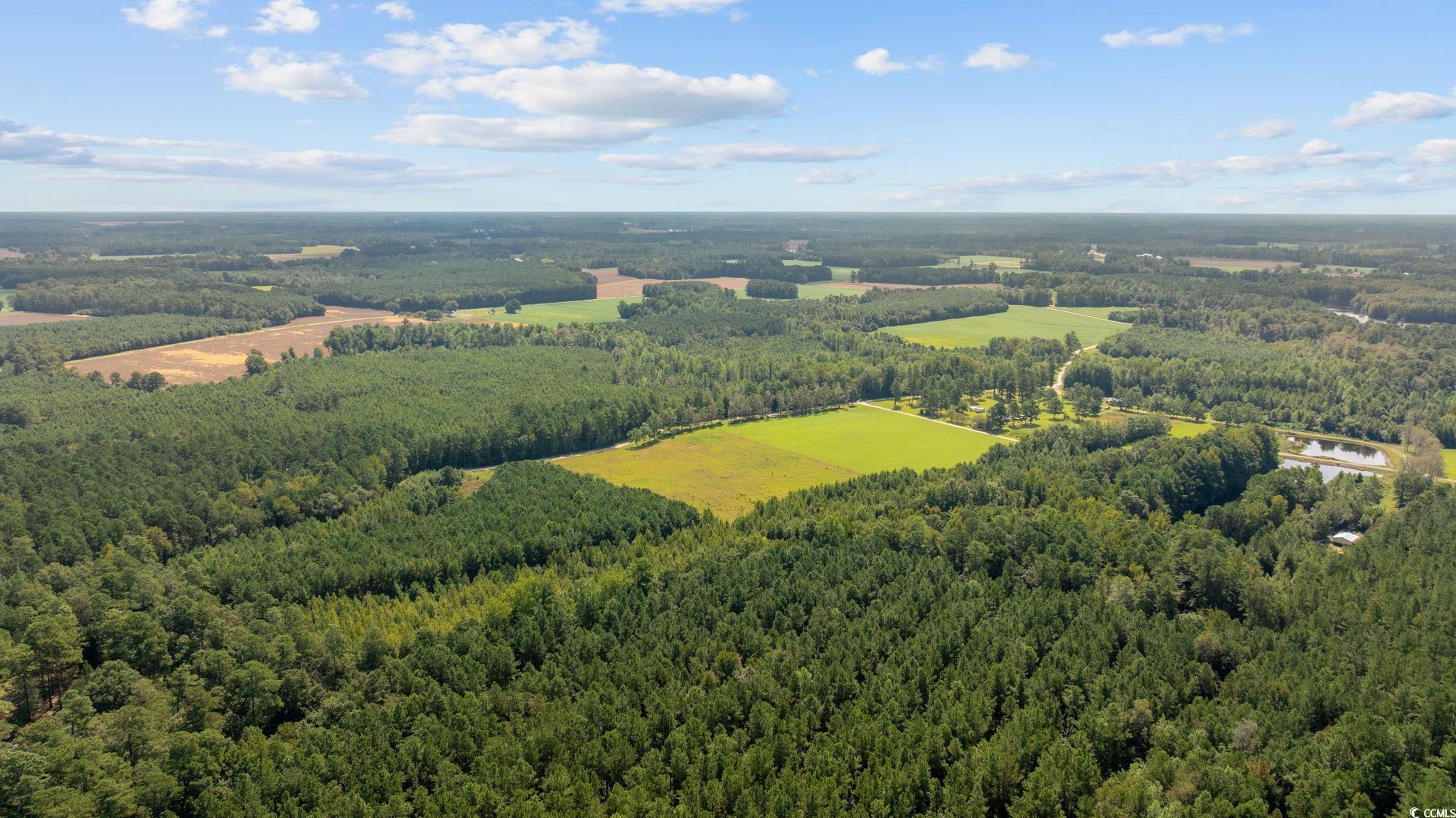 LOT 4 Womack Rd.