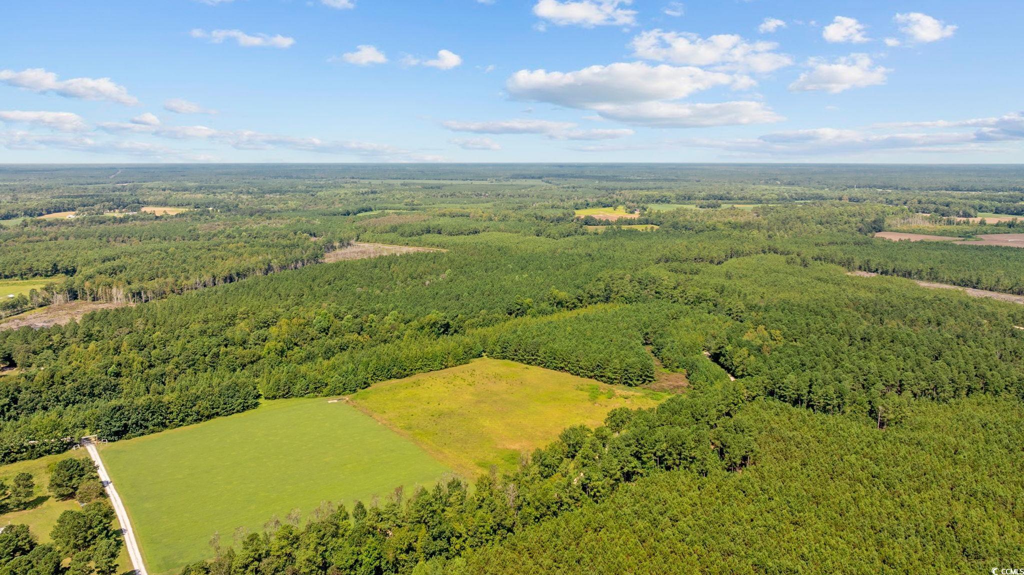 LOT 4 Womack Rd.