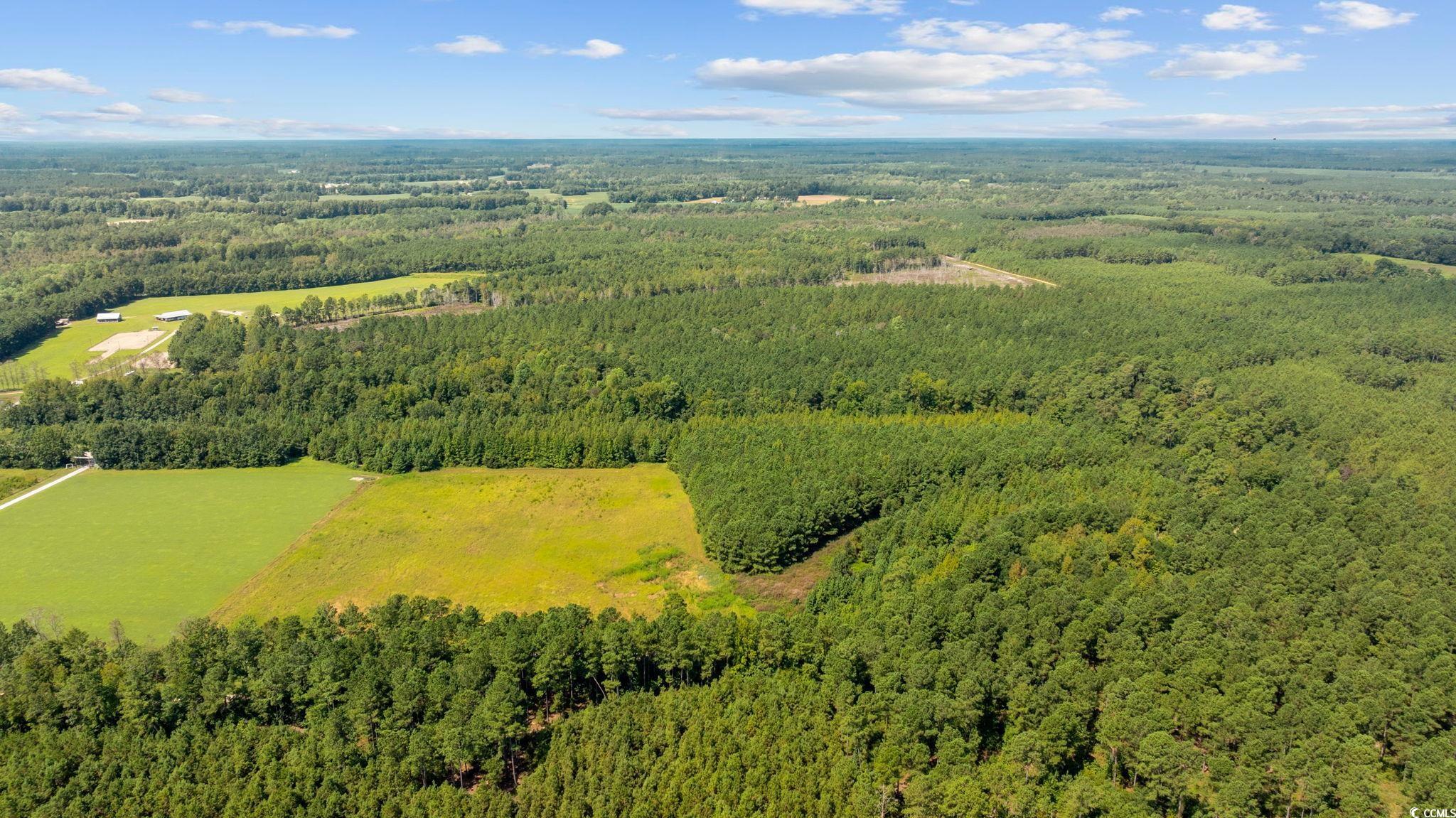 LOT 4 Womack Rd.