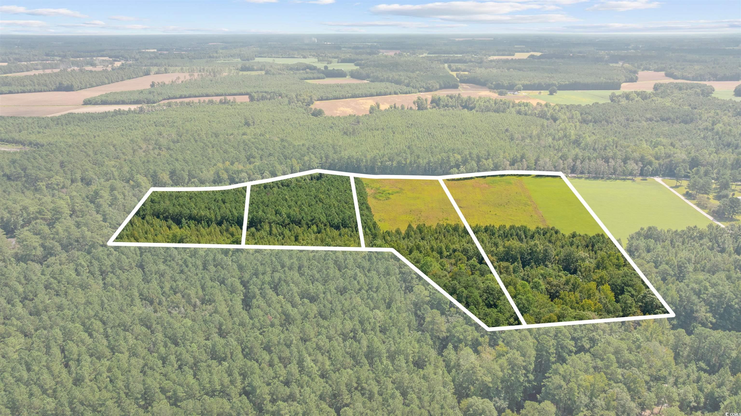 LOT 4 Womack Rd.