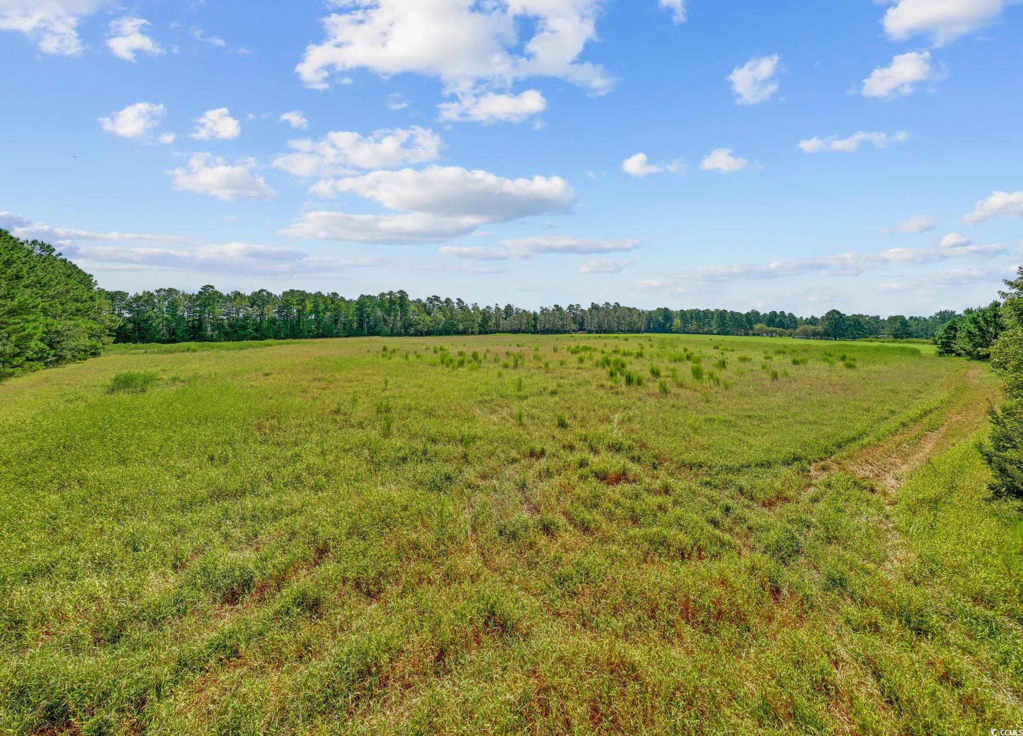 LOT 4 Womack Rd.