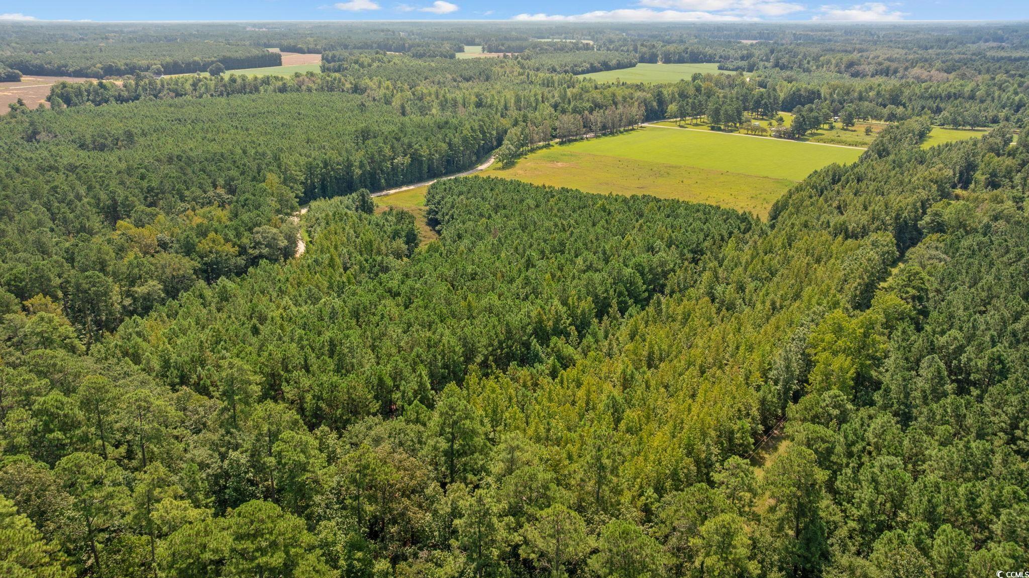 LOT 4 Womack Rd.