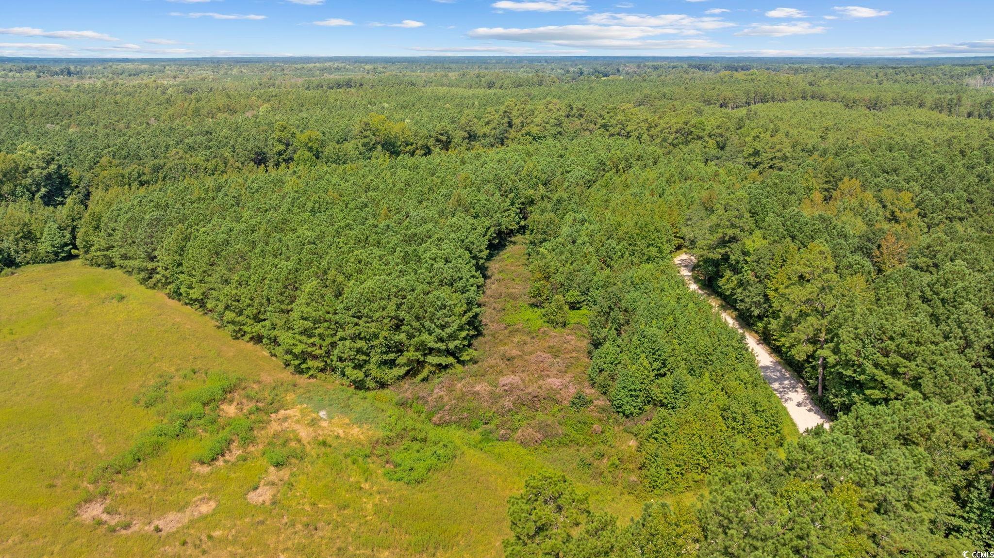 LOT 4 Womack Rd.