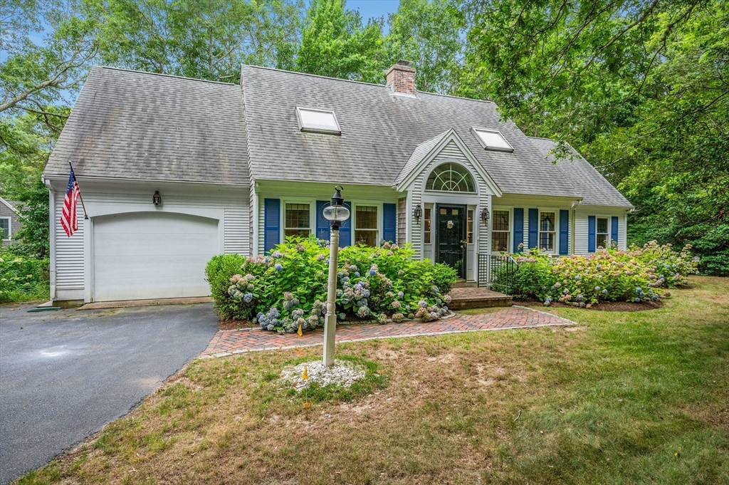 8 Filly Way