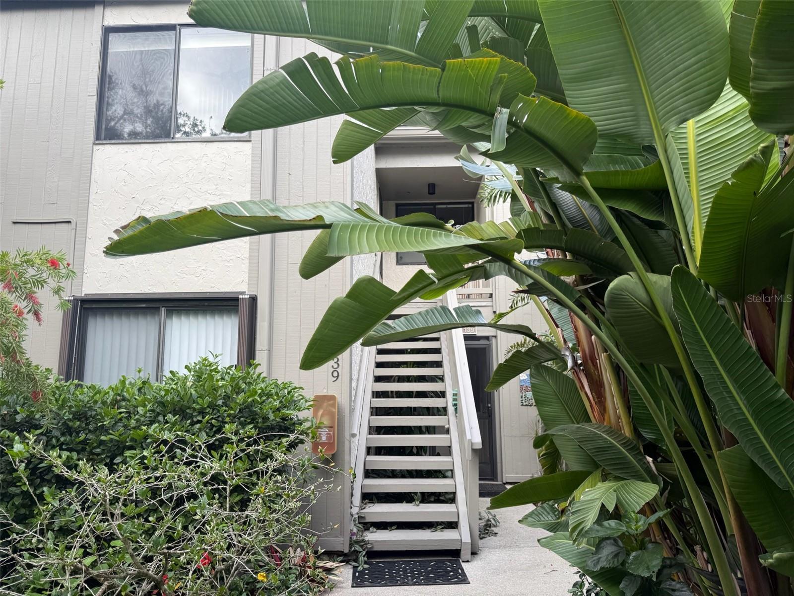 1512 PELICAN COVE RD #239