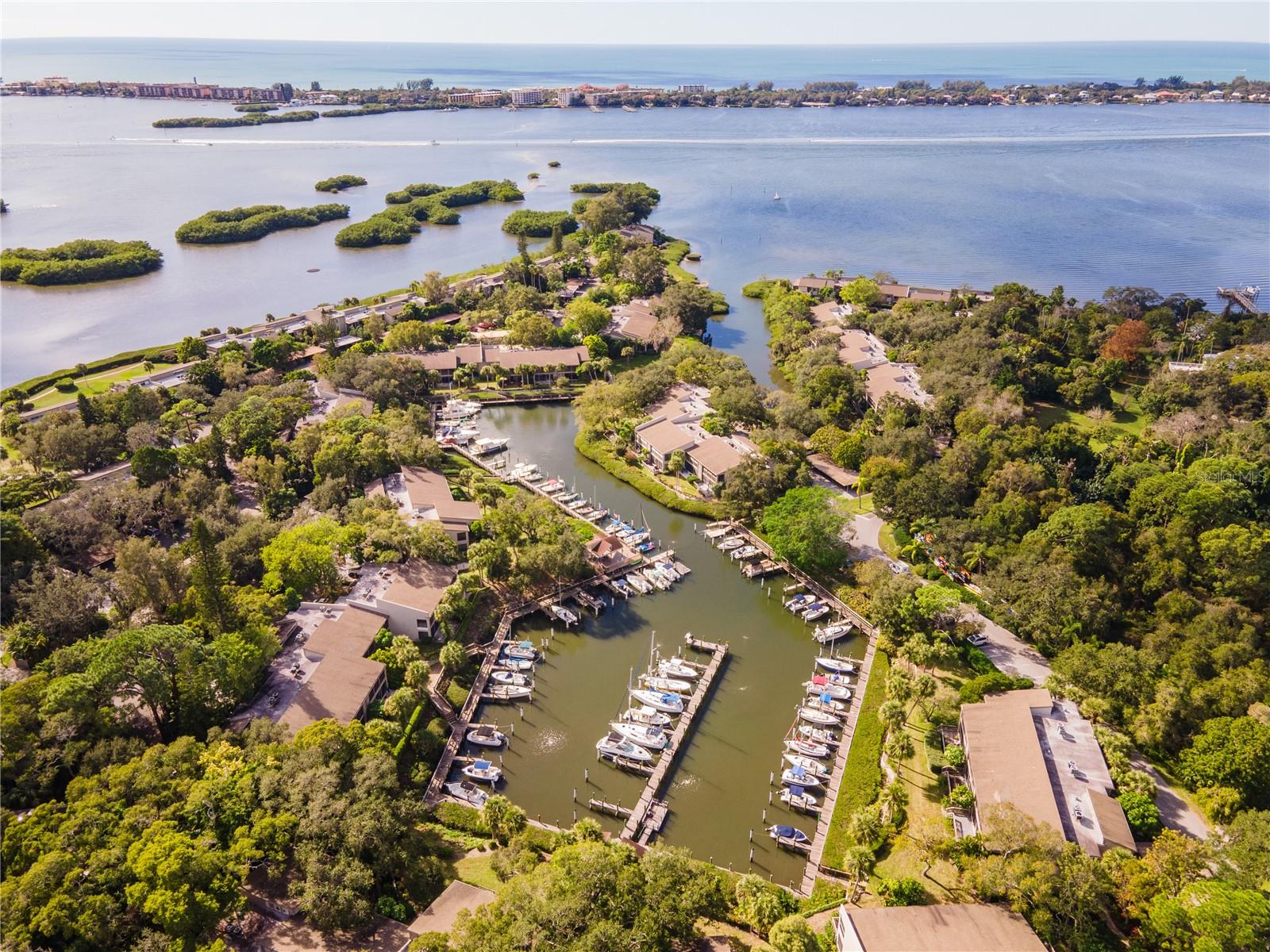1526 PELICAN POINT DR #146