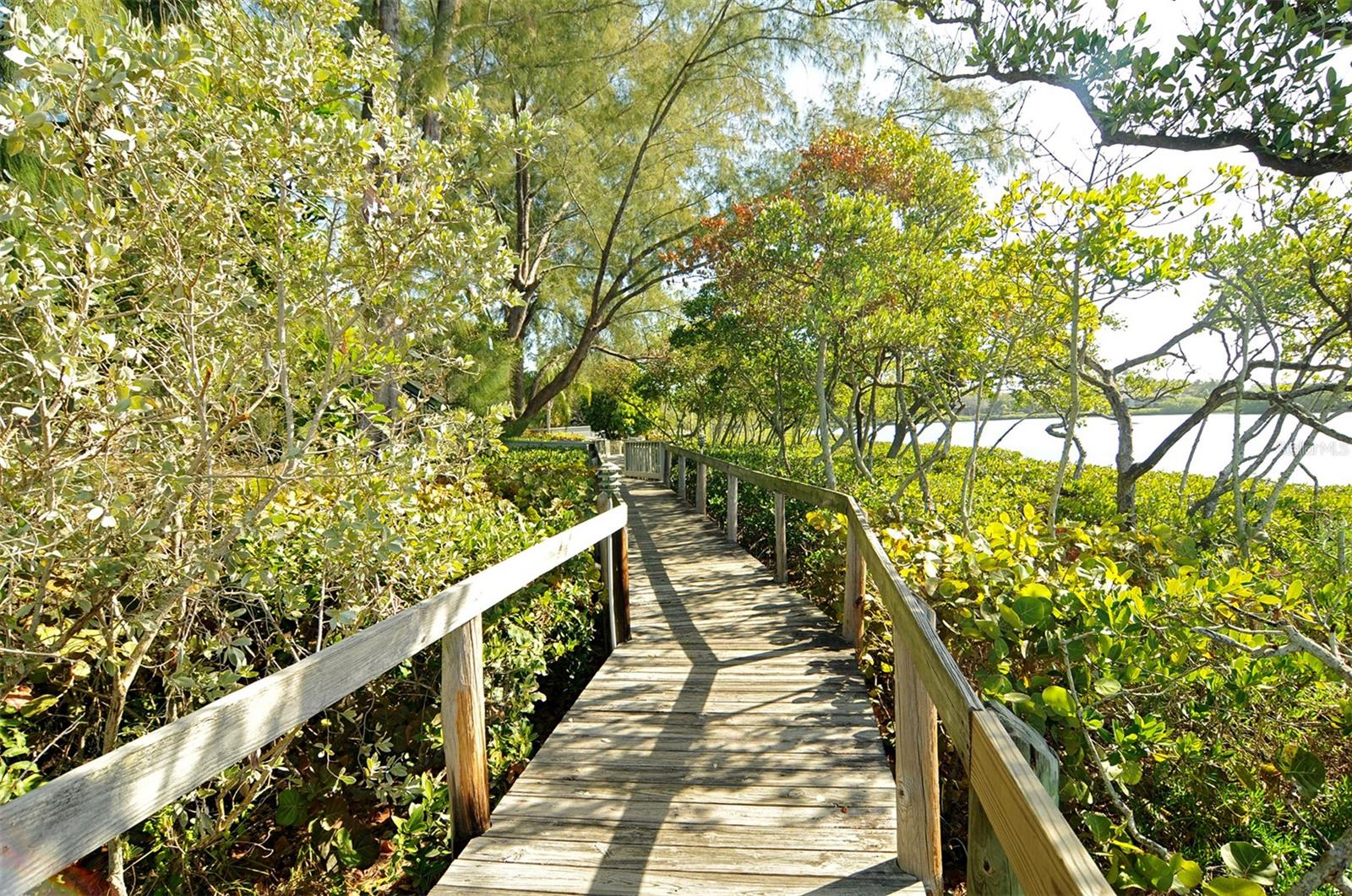 1621 CLOWER CREEK DR #TR173